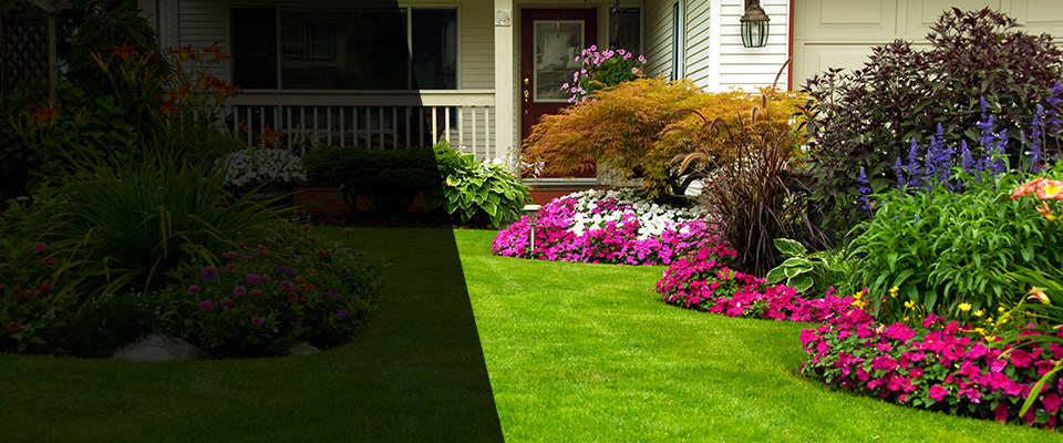 Hurricane Landscapers